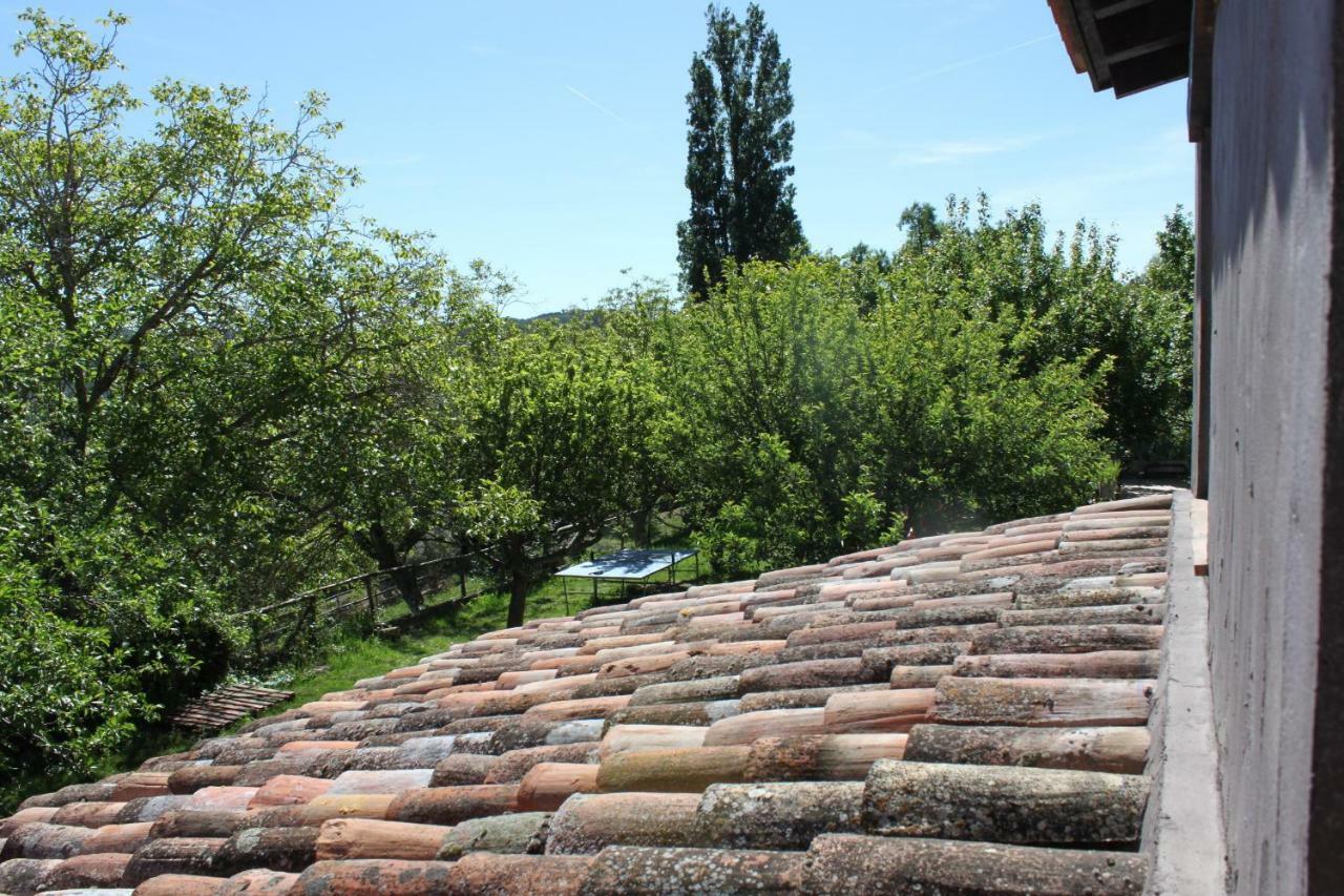 El Zarzal Guest House Horche Exterior photo